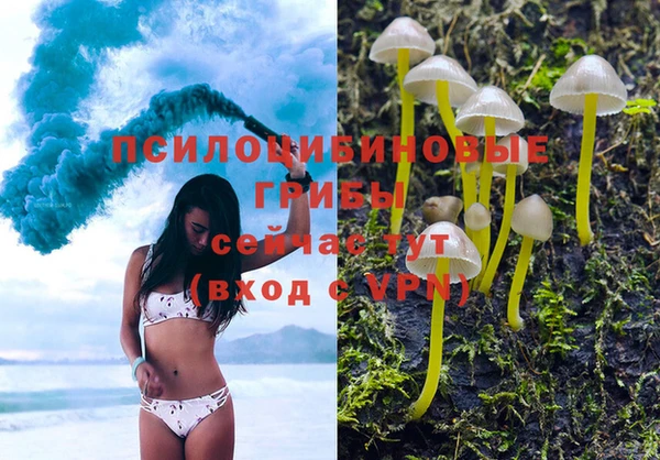 сатива Алзамай