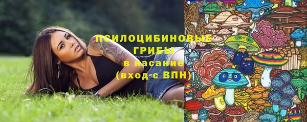 наркотики Алексин
