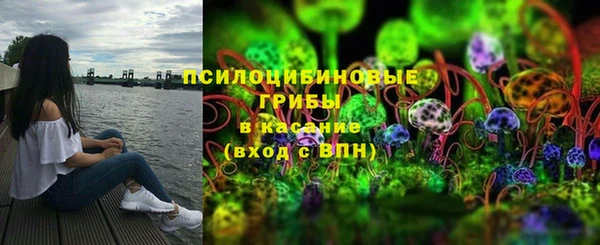 сатива Алзамай