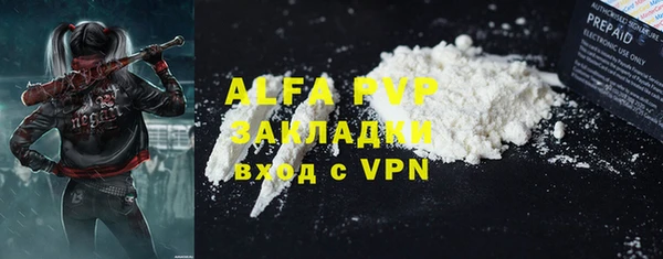 сатива Алзамай