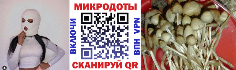 Псилоцибиновые грибы прущие грибы  Остров 